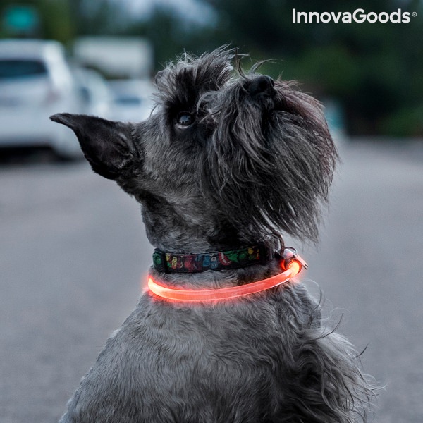LED obojek pro domácí mazlíčky Petlux InnovaGoods