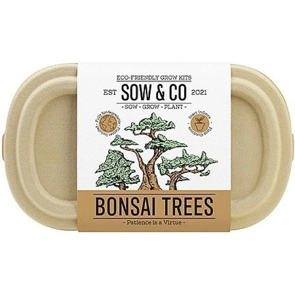 Pěstující sada Bonsai