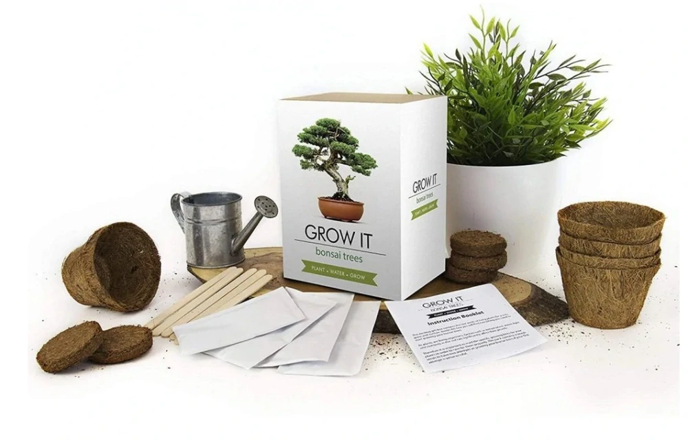 Grow it - Bonsai