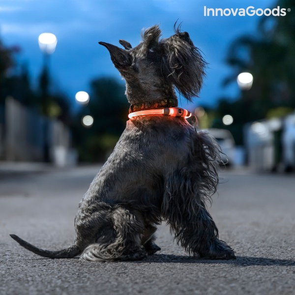 LED obojek pro domácí mazlíčky Petlux InnovaGoods