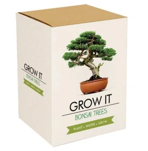Grow it - Bonsai