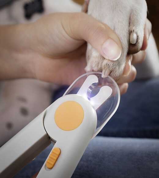 Kleštičky na drápky s LED pro domácí mazlíčky Clipet InnovaGoods